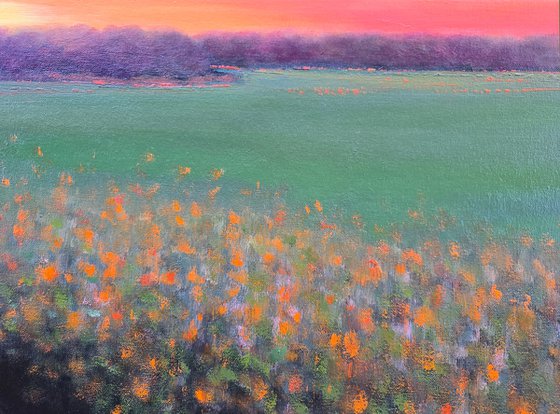 The Light Finds Me Waiting