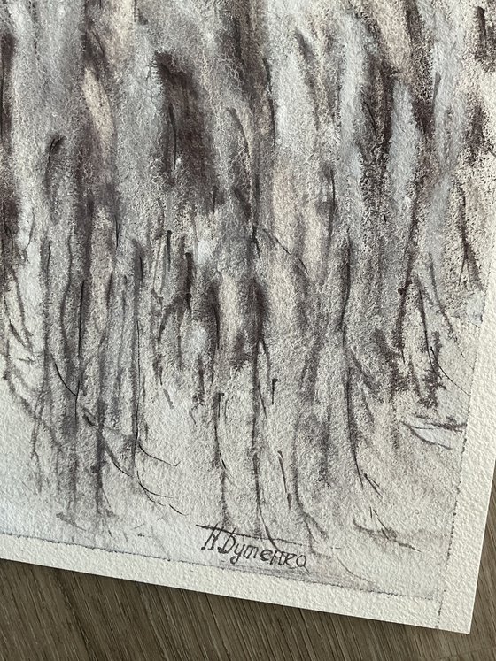 Silence of the Birch Branches