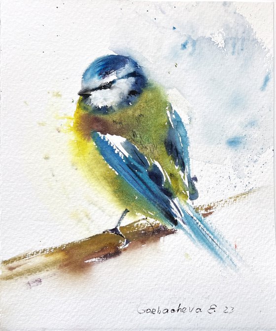 Eurasian Blue Tit