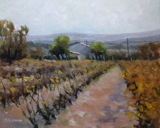 Autumn Vineyards