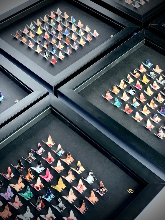 Dirty Little Butterflies