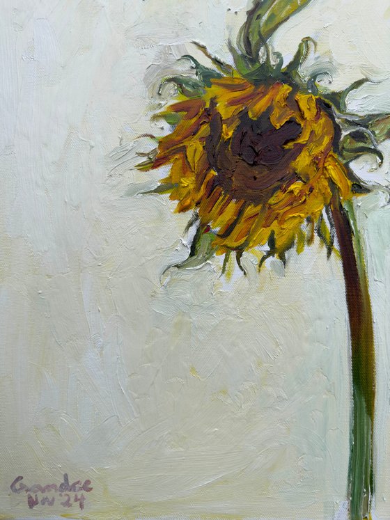 Sunflower 1