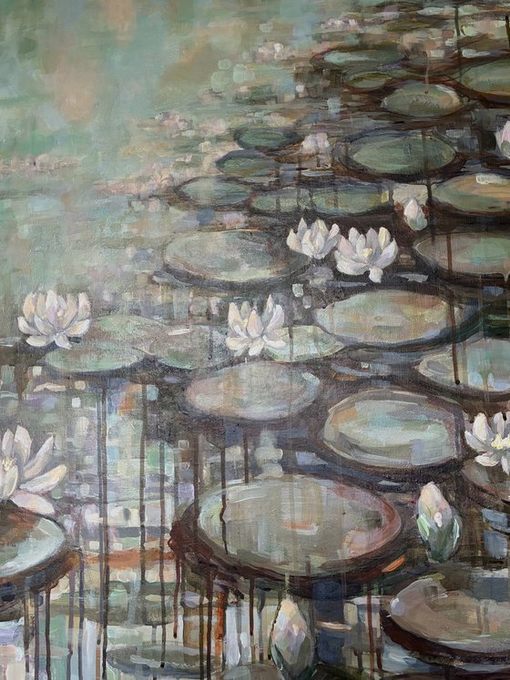 Rain on Lily pond