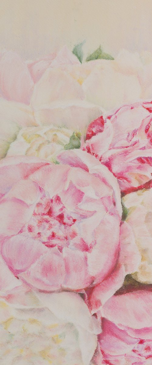 Pink Peony Flowers by Kateryna Nazarenko