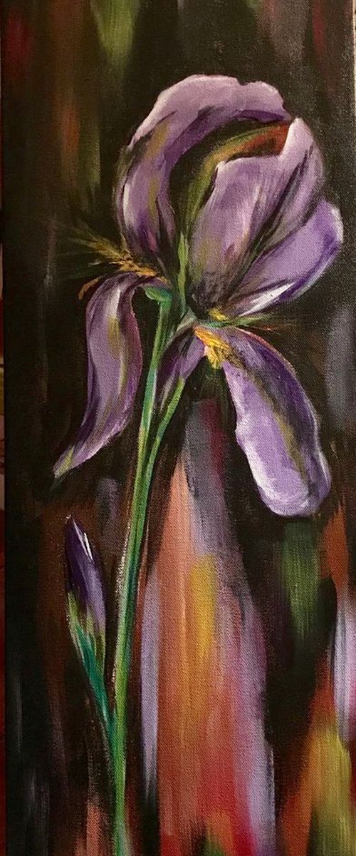 inlustris iris by Carolyn Shoemaker (Soma)