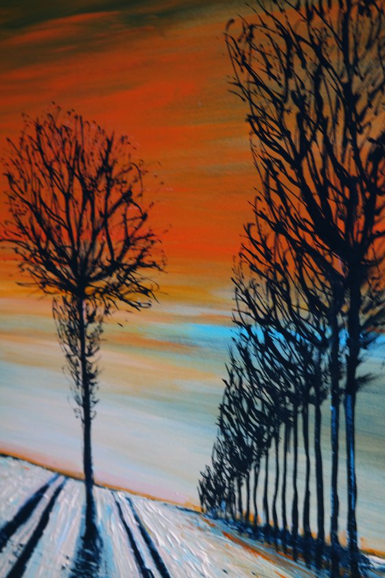 The Tree lines - Fields and Colors Series