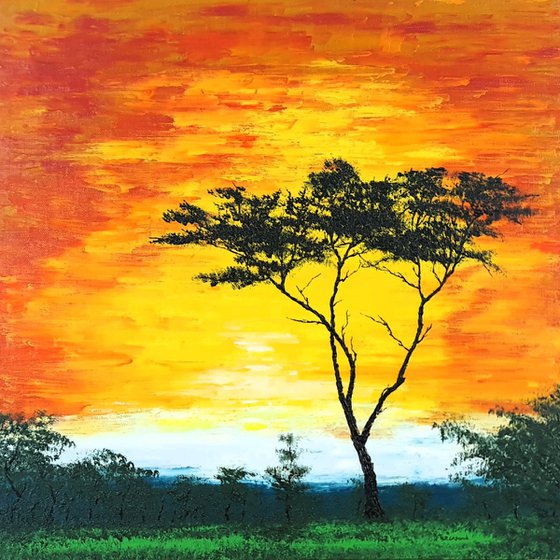 Sunny tree