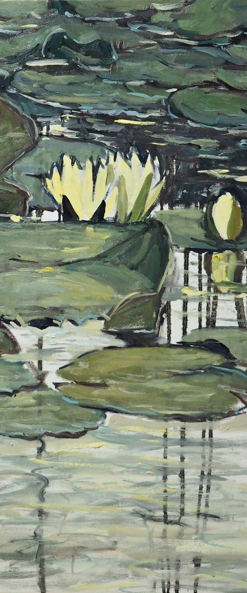 Water Lilies by Yuanyuan Liu