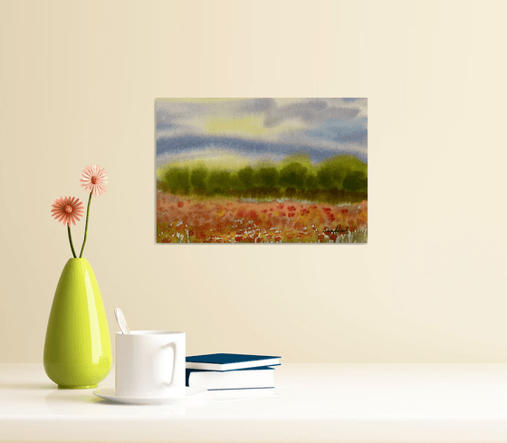 Misty poppy meadow