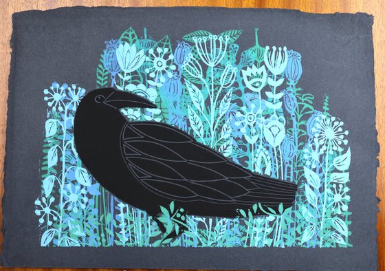 Ravens Midnight