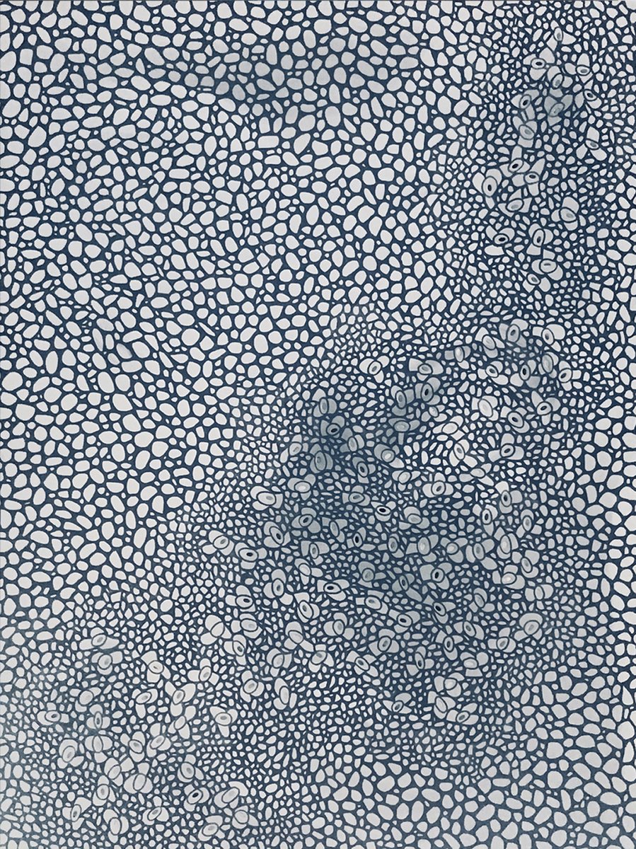 Organic Botanical Painting By Jennifer Bell, 30 X 40, Variegated 12, Original Artwork