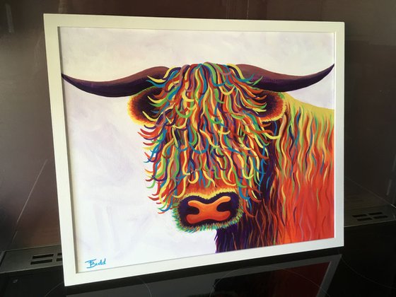 Rainbow Highland Cow