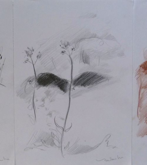 Three Mountain sketches, 21x29 cm - affordable & AF exclusive ! by Frederic Belaubre