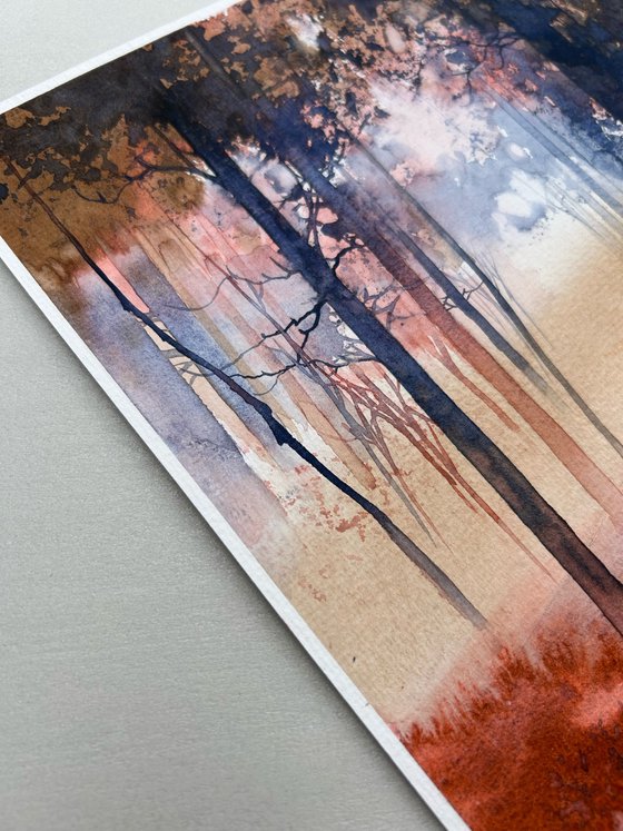Autumn Forest