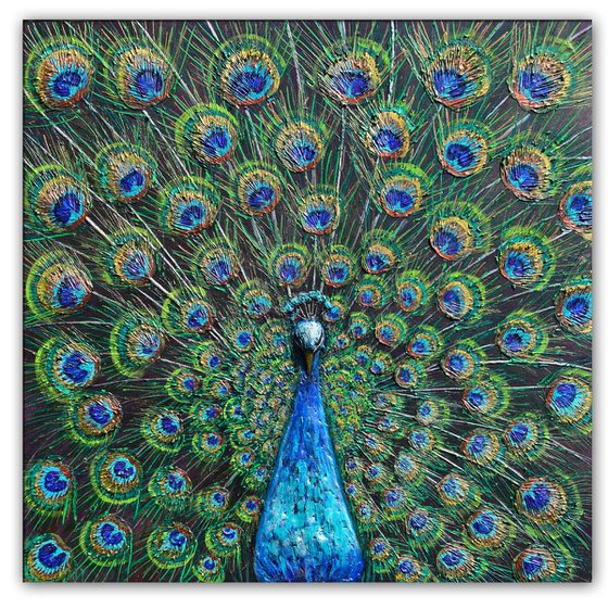 Peacock