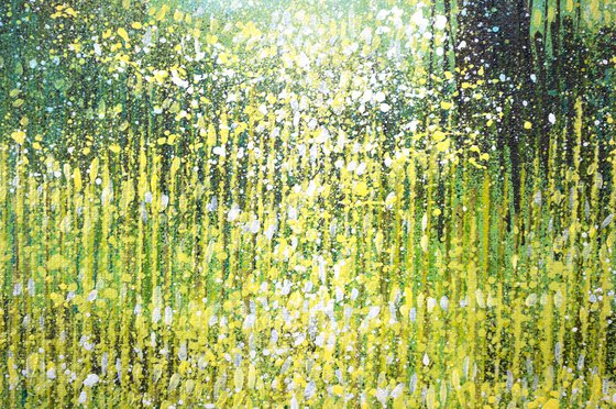 Forest Edge Summer Trees