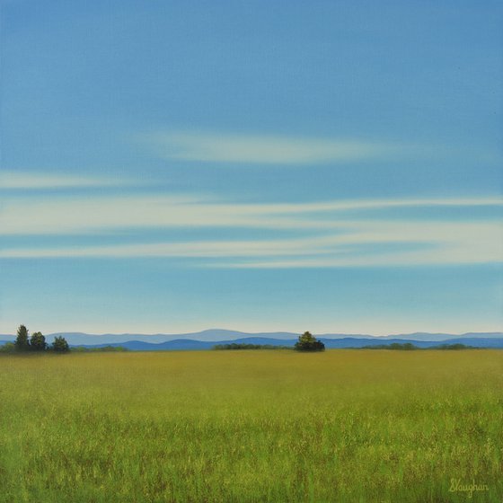 Summer Grass- Blue Sky Landscape