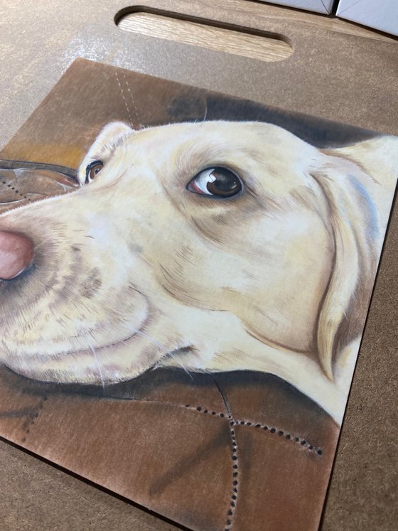 Labrador drawing