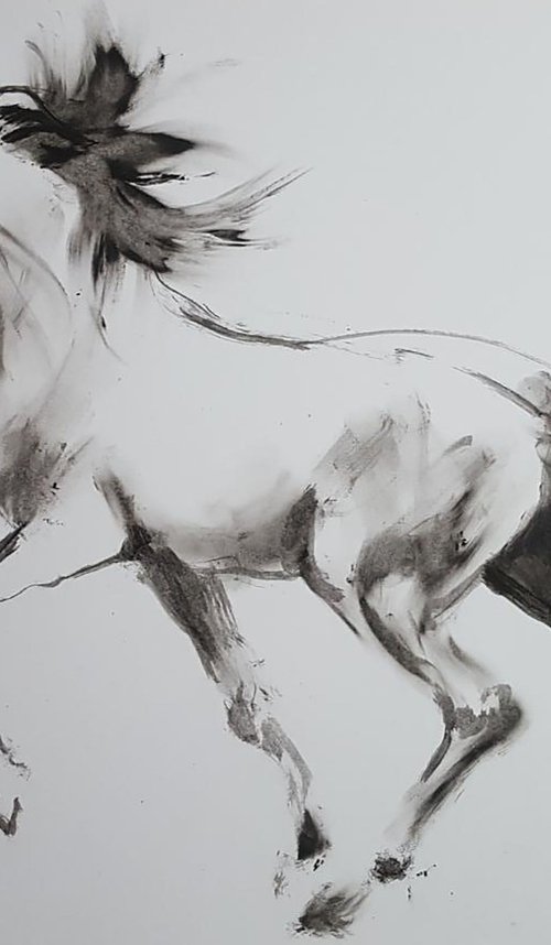 HORSE by Nicolas GOIA