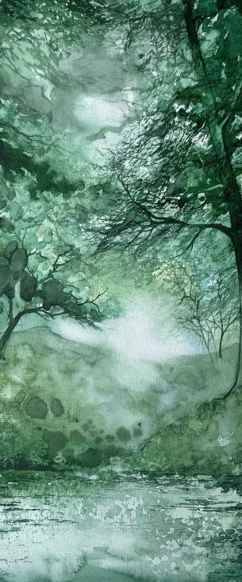 Forest mood by Nazar Grunyka