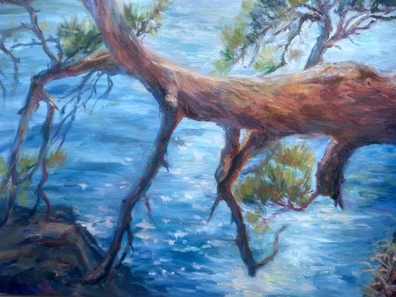 Pine tree, seascape oil painting