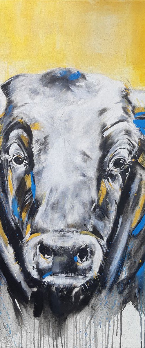 TAURUS #5 – Close up portrait of a bull by Stefanie Rogge