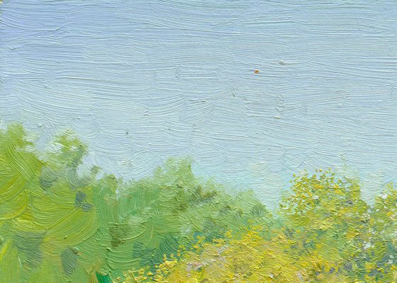 Summer day