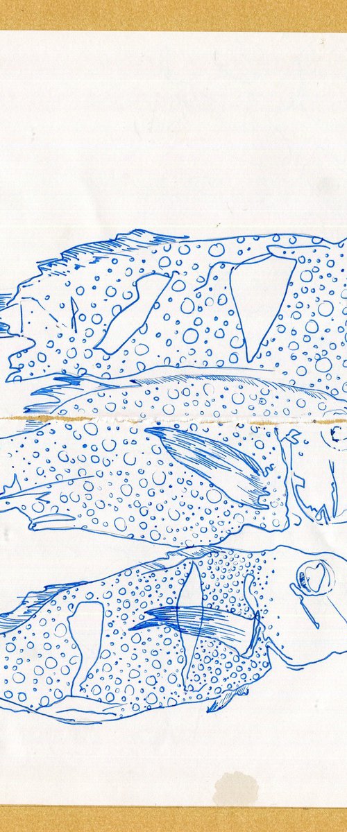 Blue Fish Sketch by Hannah Clark