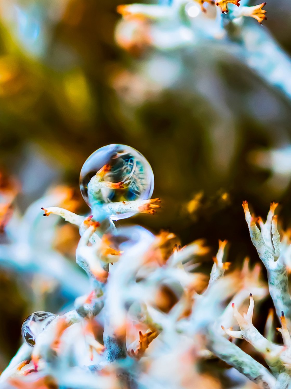 The Horus Eye Photograph by Inna Etuvgi | Artfinder