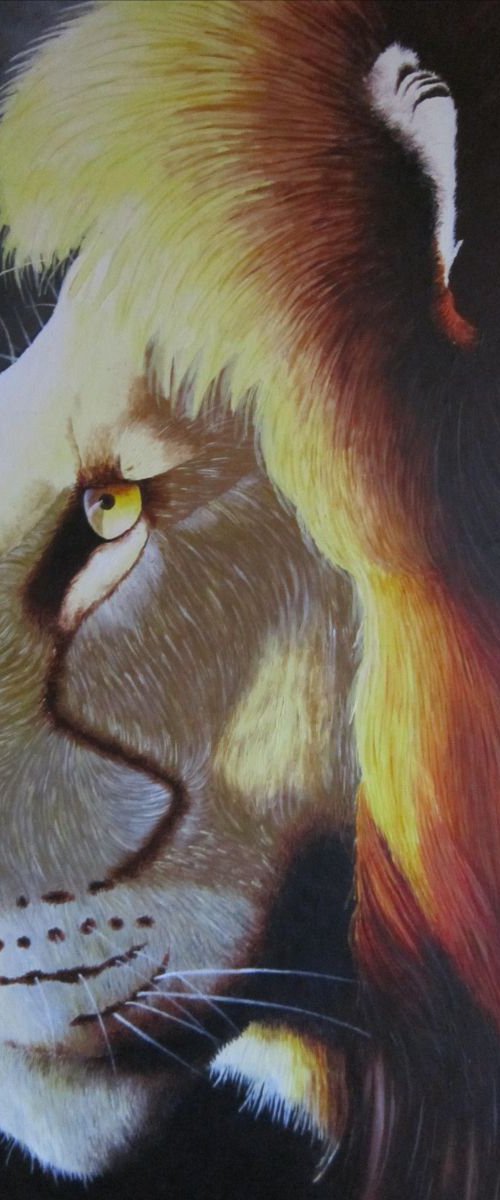 Lion Acrylic Painting 20'' x 30'' by Barry Gray