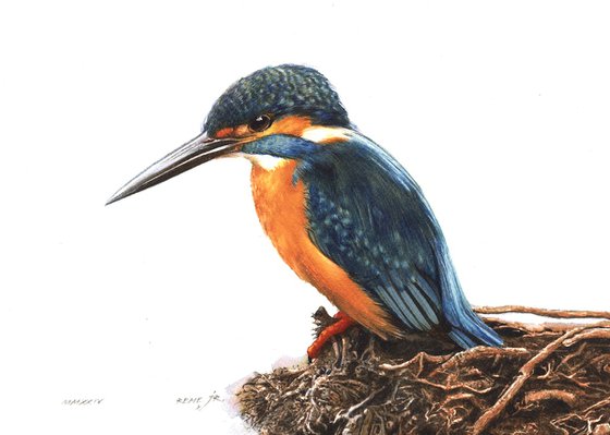 Kingfisher III