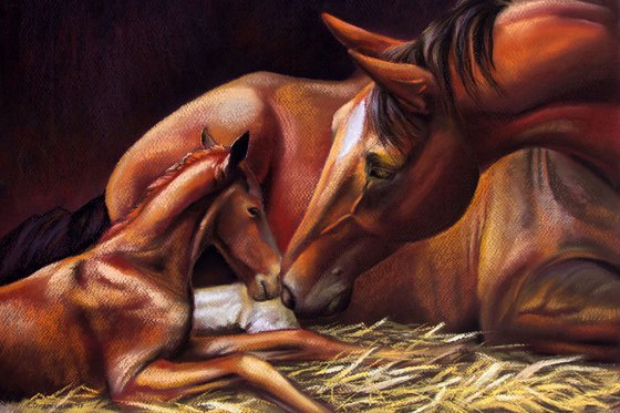 Mother horse with baby horse. The First Day