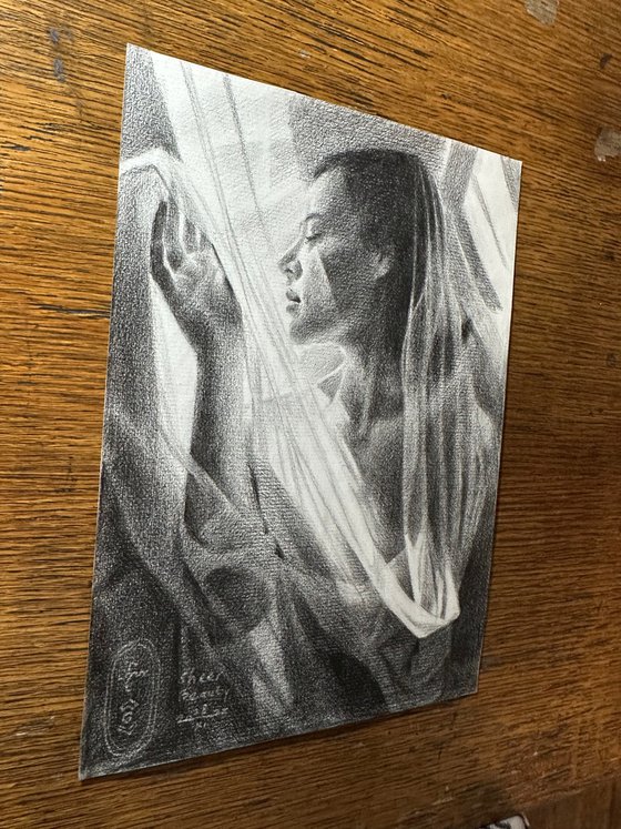 Sheer Beauty - 28-11-25