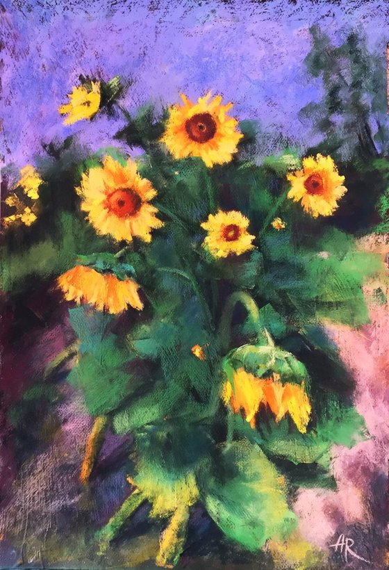 Sunflowers in August