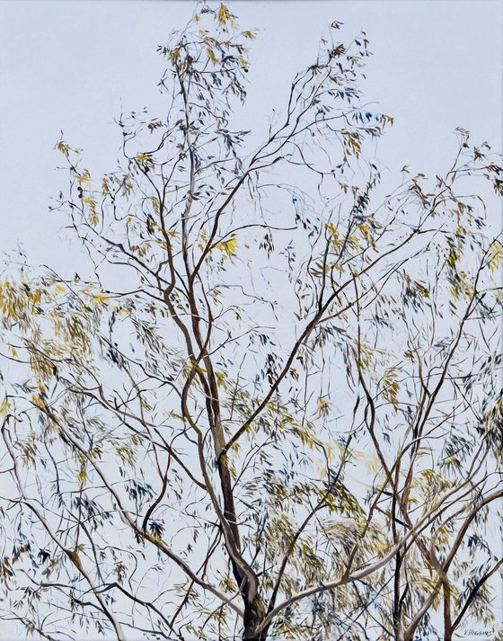 Tree branches