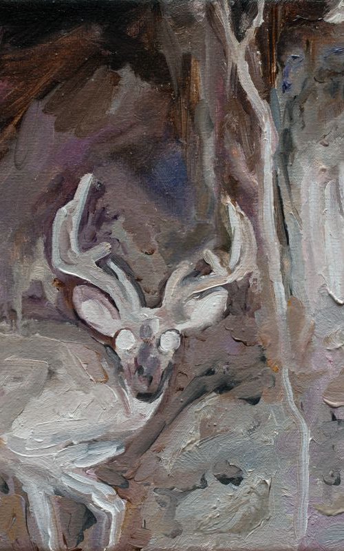 Nocturnal Animals №1 by Oleksandr Balbyshev
