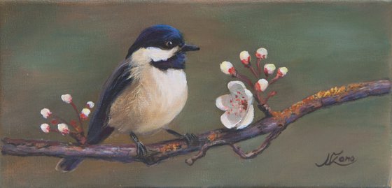 Chickadee