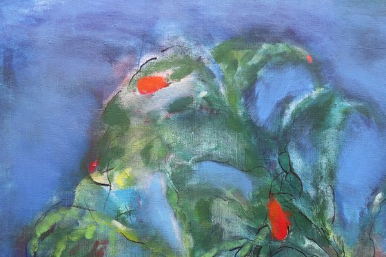 Schlumbergera. Christmas Cactus