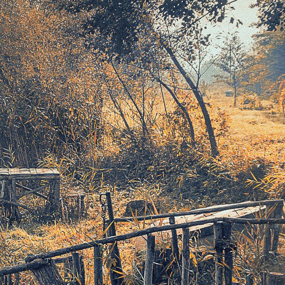 Autumn time. Walk by the river.