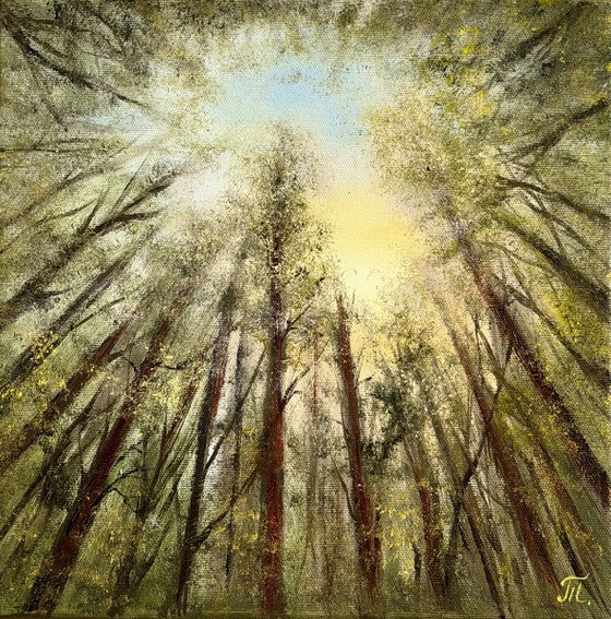 Among the Trees