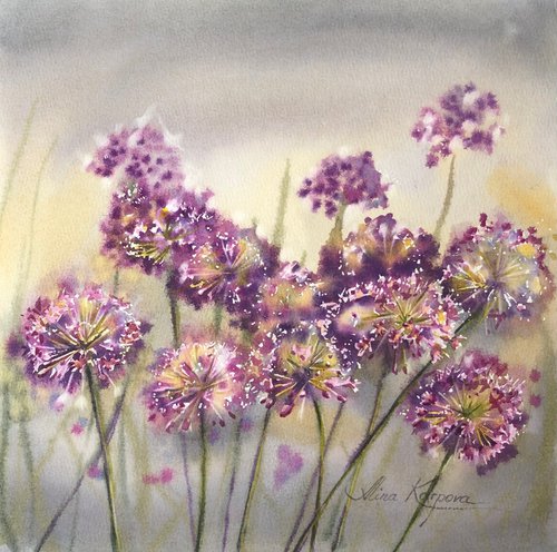 Allium flowers by Alina Karpova
