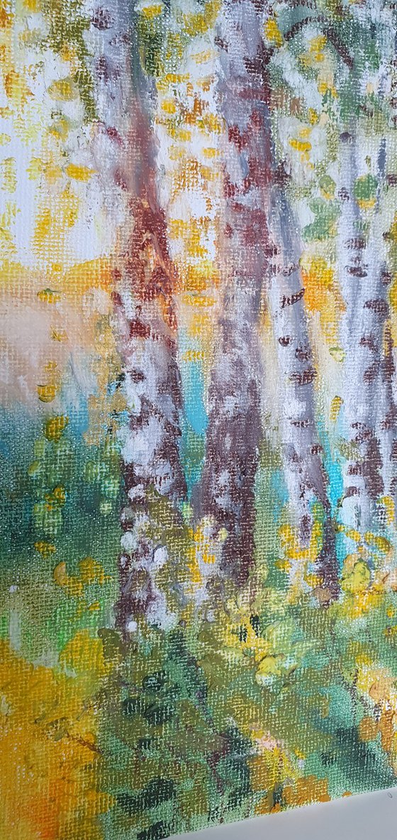 Birch grove