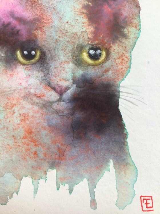 ABSTRACT CAT