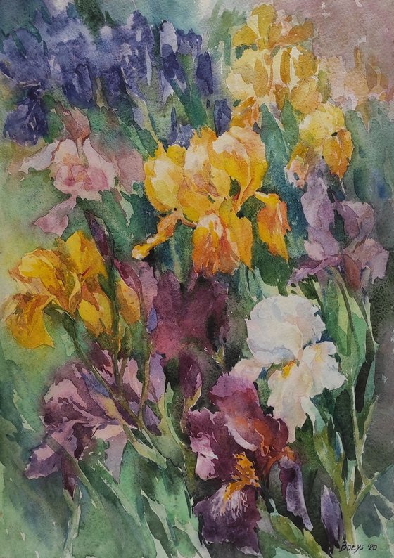 Irises - original painting, summer garden