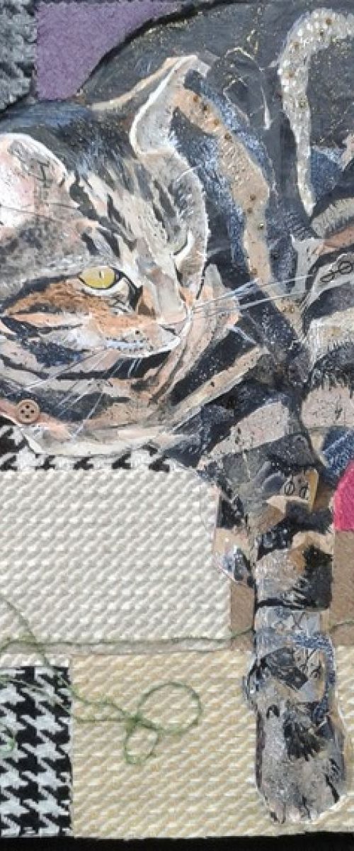 Cat on picnic blanket by Fiona Plaisted