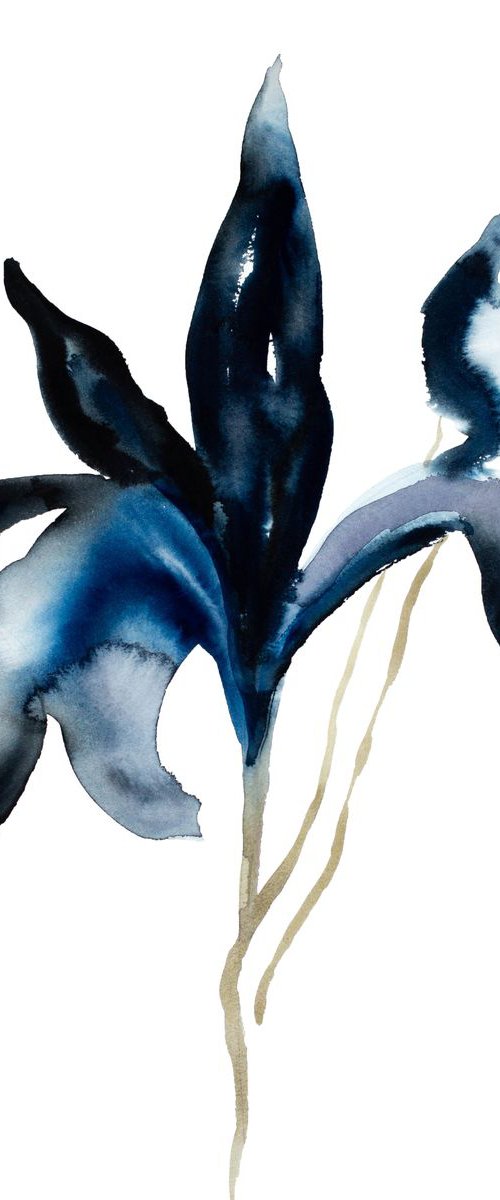 Iris No. 64 by Elizabeth Becker