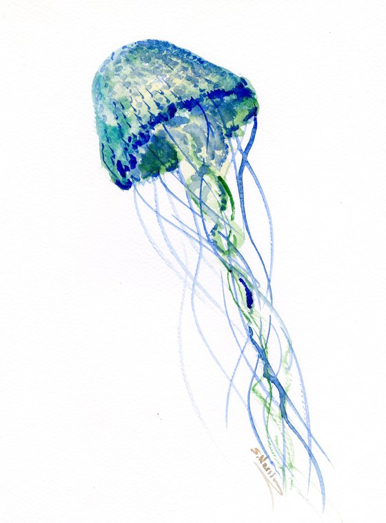 Jellyfish