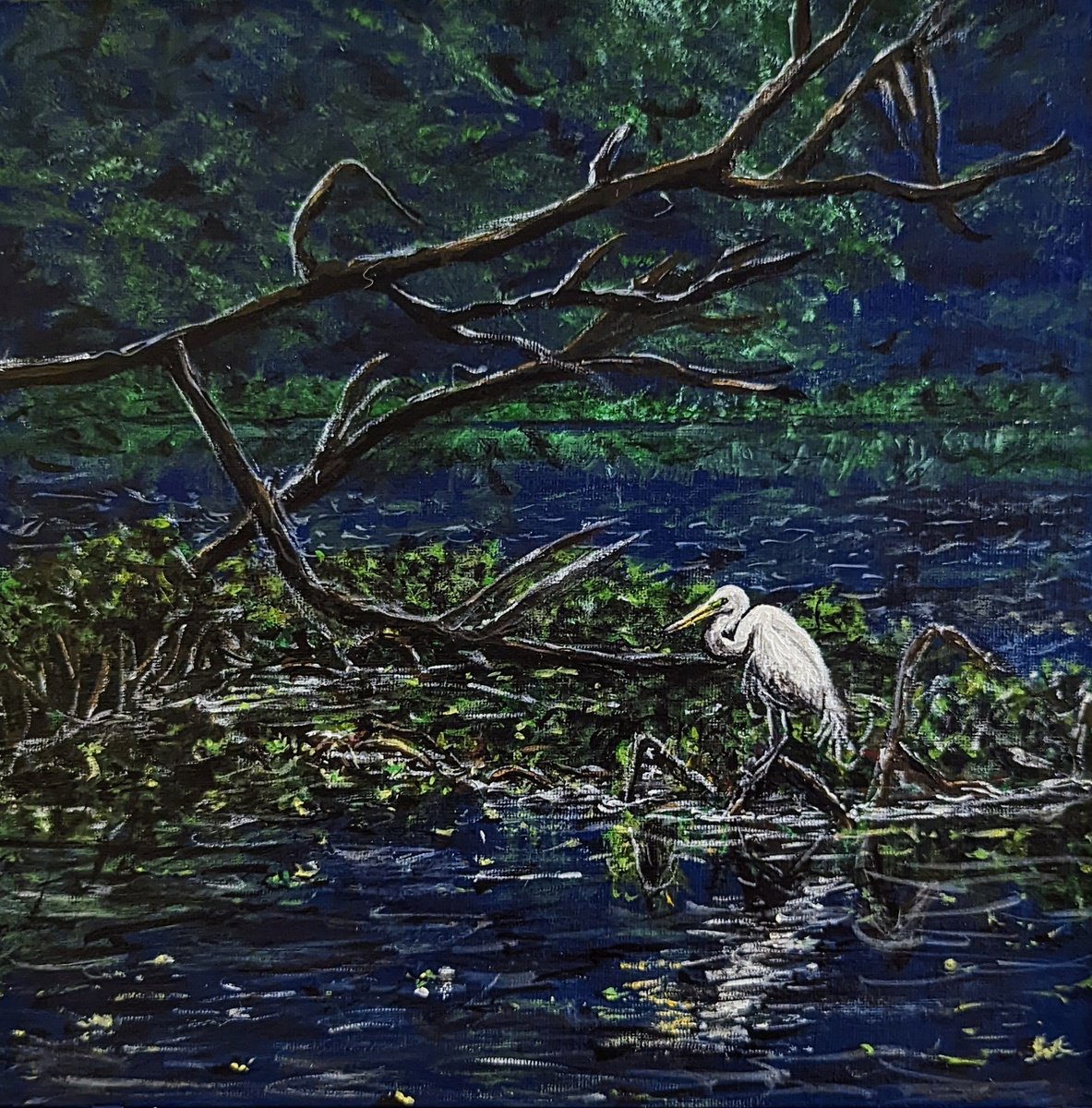 Egret Brightening Swampland by Robbie Potter