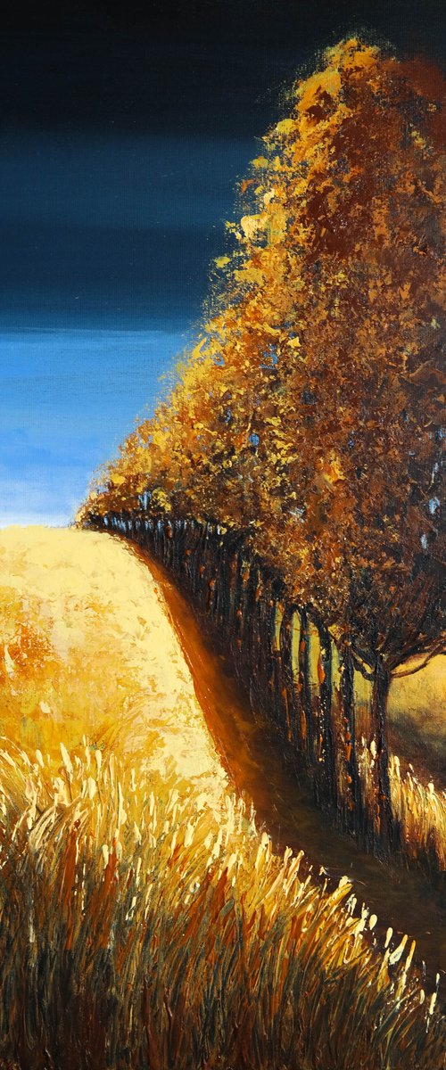 The Lines of Autumn V - Fields and Colors Series by Danijela Dan