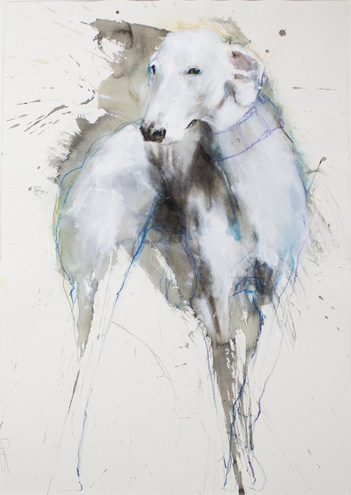 Greyhound portrait by Laurent Bergues
